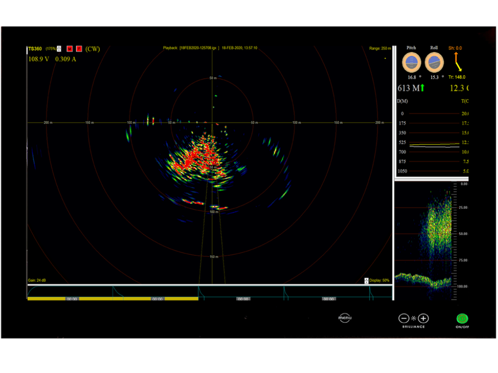 TrawlSonar_TS-360_fish