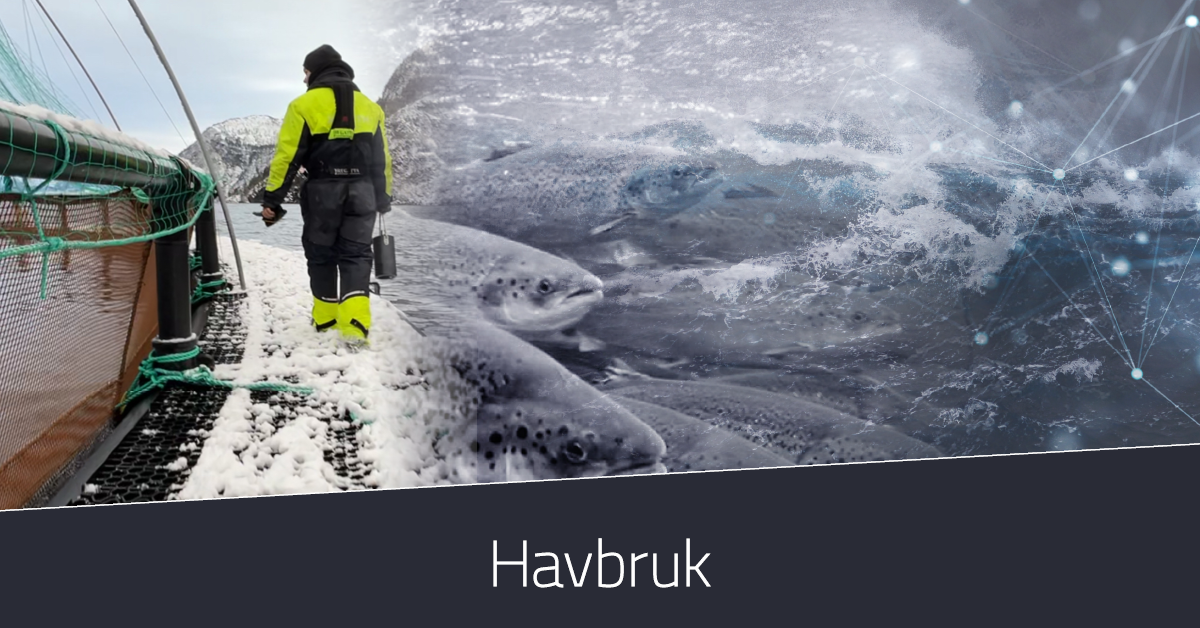 Furuno_banner_about_havbruk