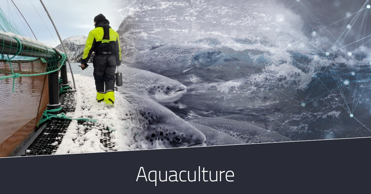Furuno_banner_about_aquaculture
