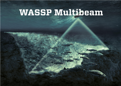 WASSP – Se fisken i sanntid og 3D!